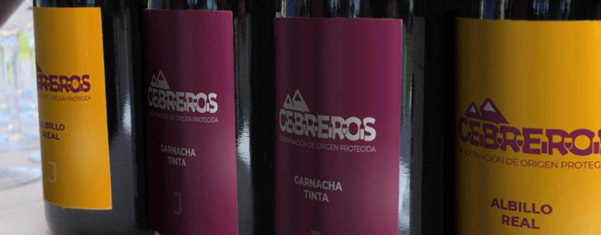 DOP Cebreros, enoturismo en Ávila